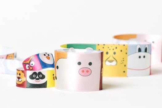 Cinta Zoolandia De 39 Mm. Por 10 Mts.